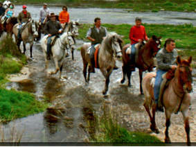 Cabalgando en Gredos | Ramacastañas Turismo Ecuestre en Ramacastañas, Arenas de San Pedro | Cabalgando en Gredos