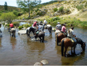 Gredos Ecuestre | Arenas de San Pedro turismo activo, turismo ecuestre, valle del tietar, la vera, gredos, aventura, aire libre, avila, caceres, equitacion, hipica, paseos a caballo, rutas a caballo, ocio, comarca de la vera, comarca rio tietar, provincia de avila, provincia de caceres, ecues